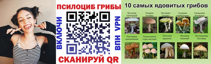 Галлюциногенные грибы Psilocybe  Бавлы 
